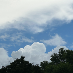 No.1 Sunday丨在美好的星期天,遇见和告别