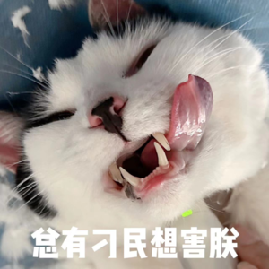 EP.09 |宠物吐槽大会（第二弹）：你有“猫”病吧？