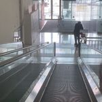 忽悠走