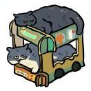 今天香菇发糖了嘛