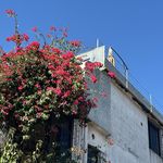 还没倒下就只能向前冲