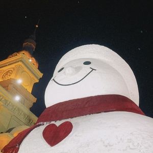 #14:两蹦跶南方小土豆的年前东北往事