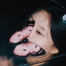 蜡笔小清_3dZR