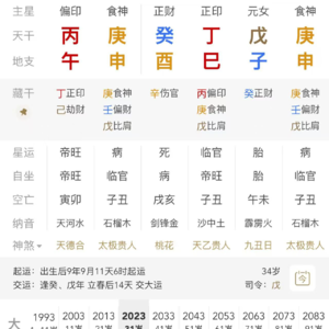 戊土身弱食伤旺女命案例解析 癸酉 丁巳 戊子 庚申