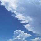 不改名字有点蠢