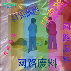 网路废料