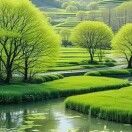 赏花听风