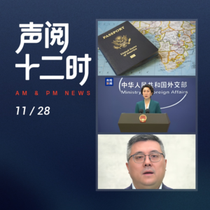 1128资讯晚报 | 多哈乒赛名单公布;猪价低迷养殖亏屠宰盈;中国反太空竞赛;A股11月跌;特朗普移民新政