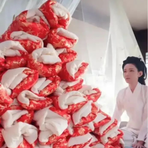 短剧"一胎生99子":探讨短剧行业的乱象与未来发展