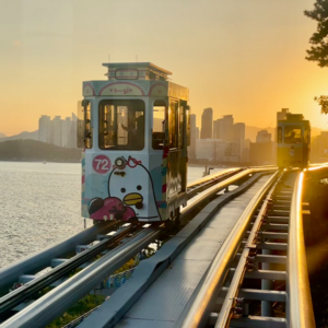 3. 去韩国除了美容美发还能干啥？来盘盘天真烂漫的釜山有多宝藏