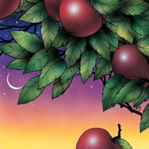 塔罗解读 | 星币9 时机成熟