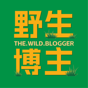 别盲目迷恋Pocket3！200元起自媒体高性价比设备选购指南！相机，麦克风，灯光，电脑，软件全都有！自用无广放心食用！