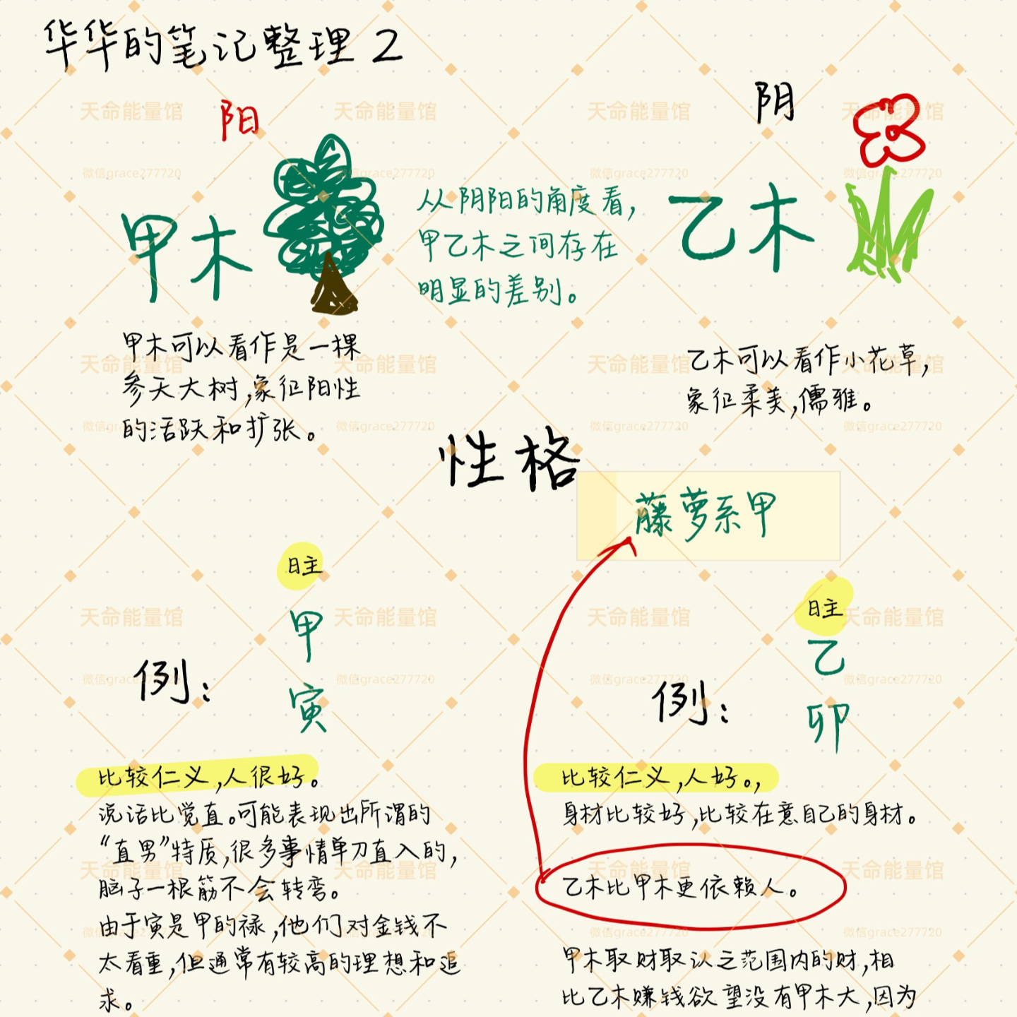 木运当头，如何借木旺运 | EP.44 episode artwork