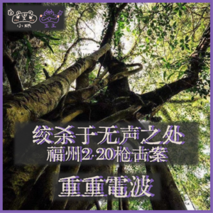 E24.绞杀于无声之处：福州2·20枪击案