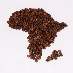 #01.Esp-La Odisea del Café