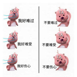 【MBTI T/F篇】f人情绪化吗？人类大脑有一坨生物组织主管“情绪”！