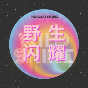 EP.03 三本女孩逆袭香港四大：从普通工薪家庭到PwC审计师