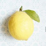 柠檬Lemonade