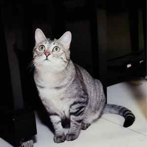 耗儿Clara