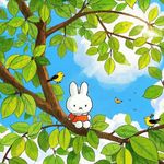 叫我秋秋就好了