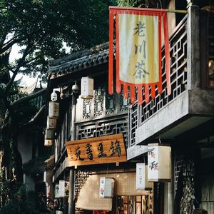 EP.41 邻人话 | 错峰去成都：一场关于松弛感、AI和身体的聊天
