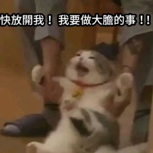 和Bella一起用英文聊今日热点