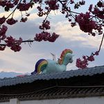 这里是欠欠