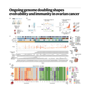 067-Genome doubling shapes evolvability & immunity in HGSOC