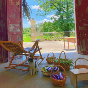 VOL182.我是我自己永恒的战友：只有依靠自己，胜算才更大