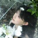 zhi_CHES
