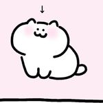 猫猫长命百岁神