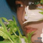 粉刷驱蚊液