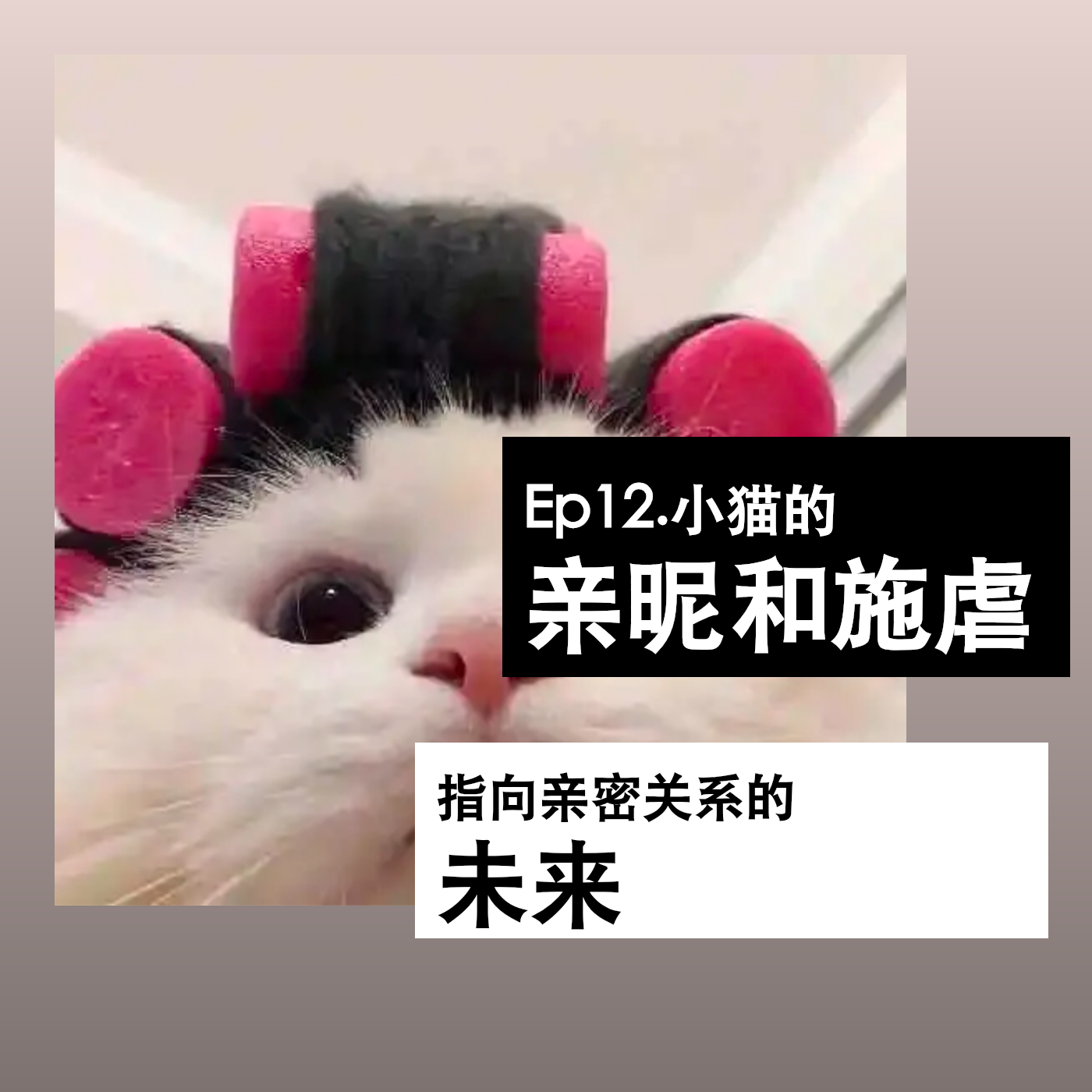 Ep12.小猫的亲昵和施虐，指向亲密关系的未来 episode artwork