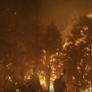 高温下的川渝朋友，你还好吗？