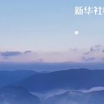 小神仙大麦茶