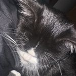 青山绿水蓝天白云