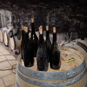 7/ 你为什么还在喝葡萄酒？