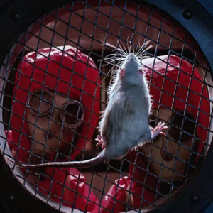 “主旋律”变“堵旋律”,给中国电影添堵的《731》