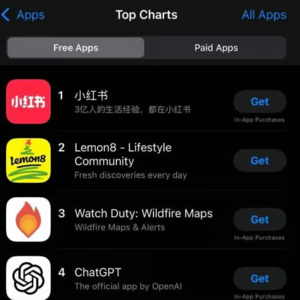 前瞻钱瞻-166. TIKTOK难民们 一夜登陆小红书！”不卖就禁“逼近啦，突围吧！