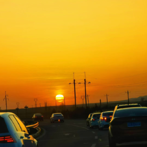 Vol.028 喜欢，是从“在一起很舒服”开始的