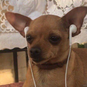 Vol19.好好刷牙就是一种逆天改命｜年度金曲