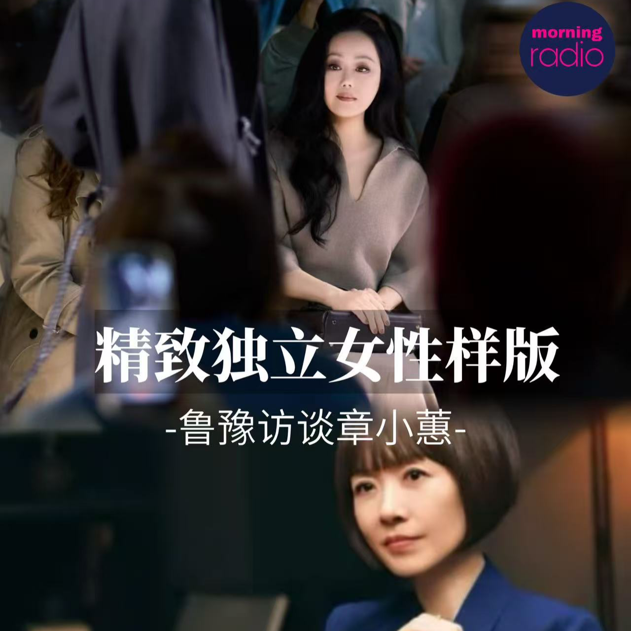 鲁豫访谈章小蕙感悟/只要不放弃，你可以抵达世界的码头。 episode artwork
