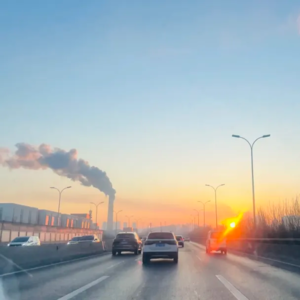 三百六十行 vol.40：蓝信封学前教育工作者访谈录︱赵晨：教育是点燃孩子自我赋能的火种