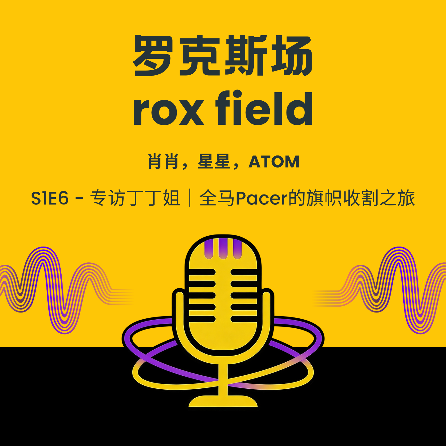 S1E6 - 专访丁丁姐｜全马Pacer的旗帜收割之旅 episode artwork