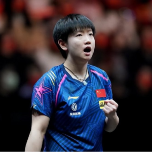 vol.12 ：国球之“战”，粉丝为“王”？聊聊乒乓饭圈二三事