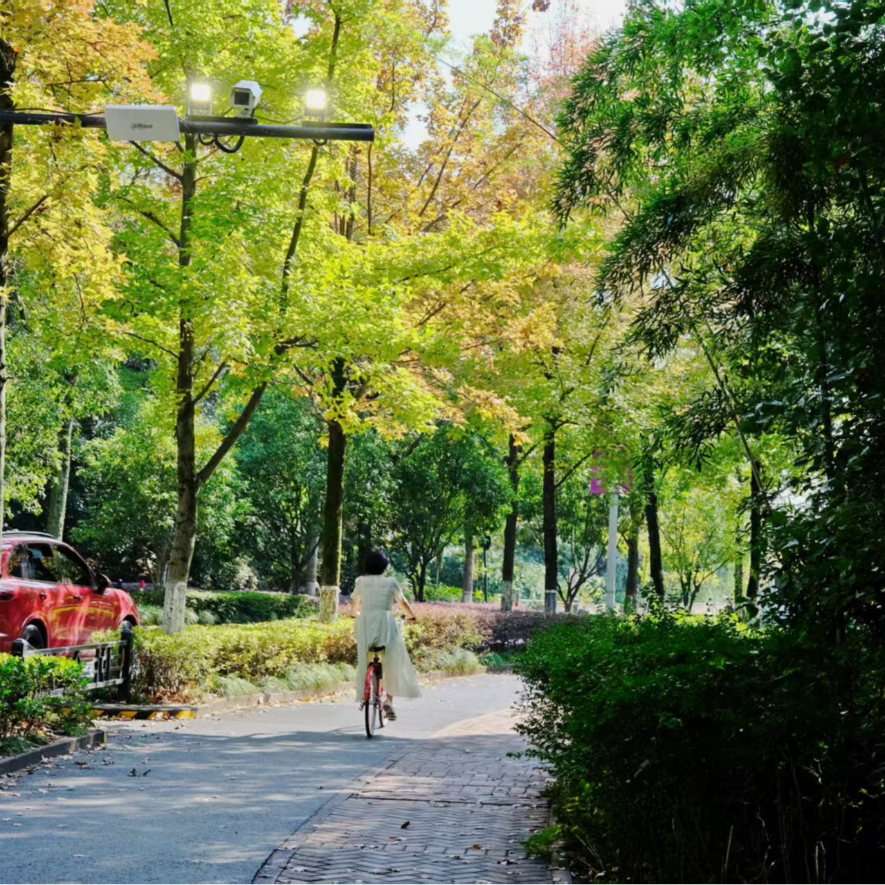 大佳的成长磁场