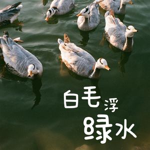 vol.010 一半海水一半沙,聊聊被神眷顾的埃及自由行