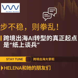 【Helena和她的朋友们】步不稳，则拳乱！英国专家Peter：跨境出海AI转型的真正起点，是“纸上谈兵” （上篇）