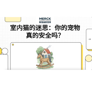室内猫的迷思：你的宠物真的安全吗？