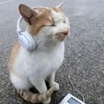 风吹鸡蛋壳蛋壳